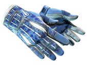 ★ Sport Gloves | Amphibious (Field-Tested)
