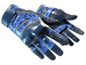★ Moto Gloves | Polygon (Field-Tested)